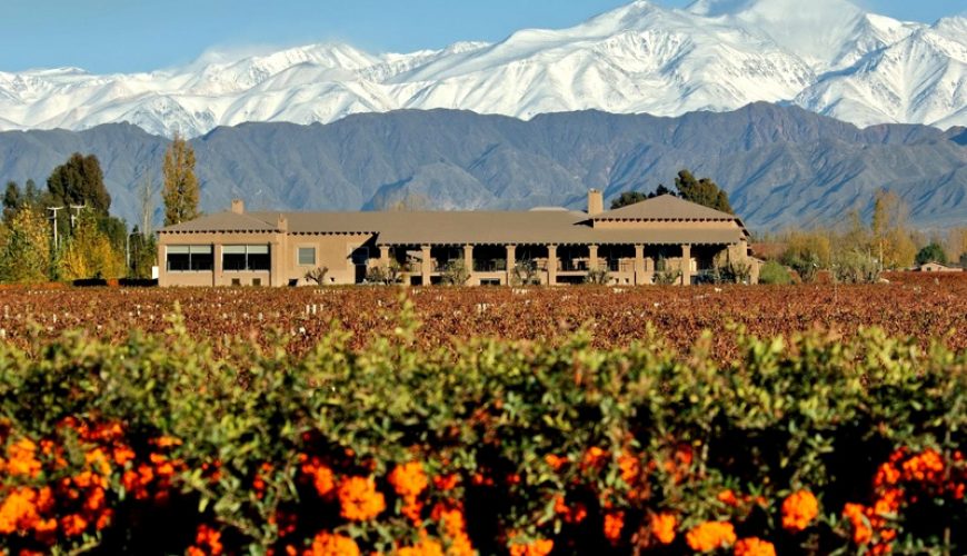 Book your wine trip online now!