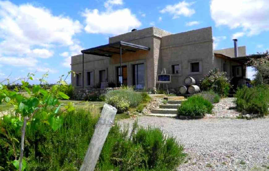 Lunch at Tupungato Divino