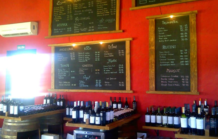 Lunch at Tupungato Divino