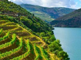 Douro Valley