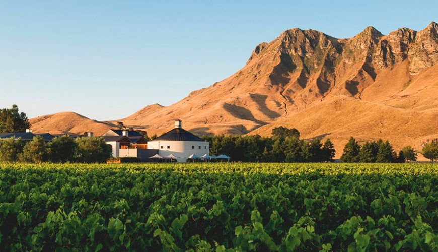 Book your wine trip online now!