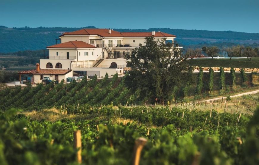 Wine Residence Cattunar