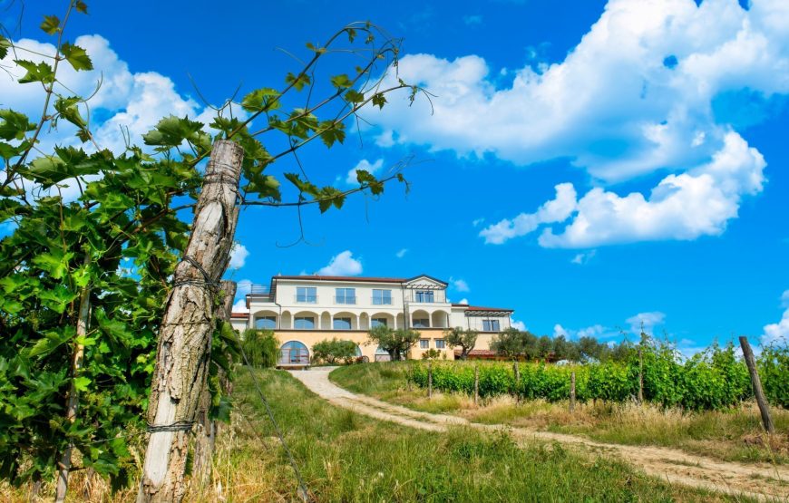 Wine Residence Cattunar