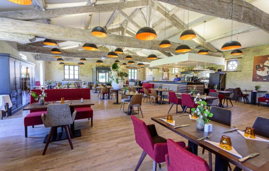 Château des Vigiers