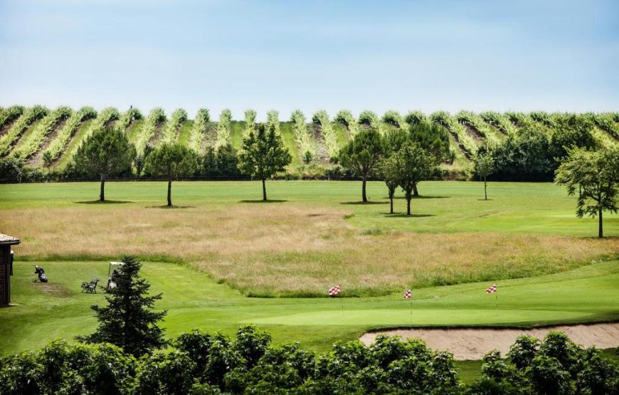 Château des Vigiers