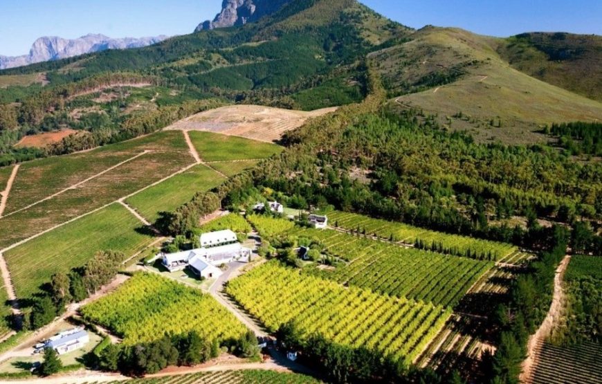 Marianne Wine Estate