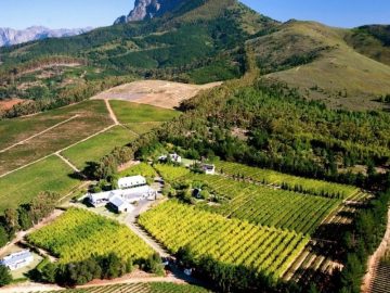 Marianne Wine Estate