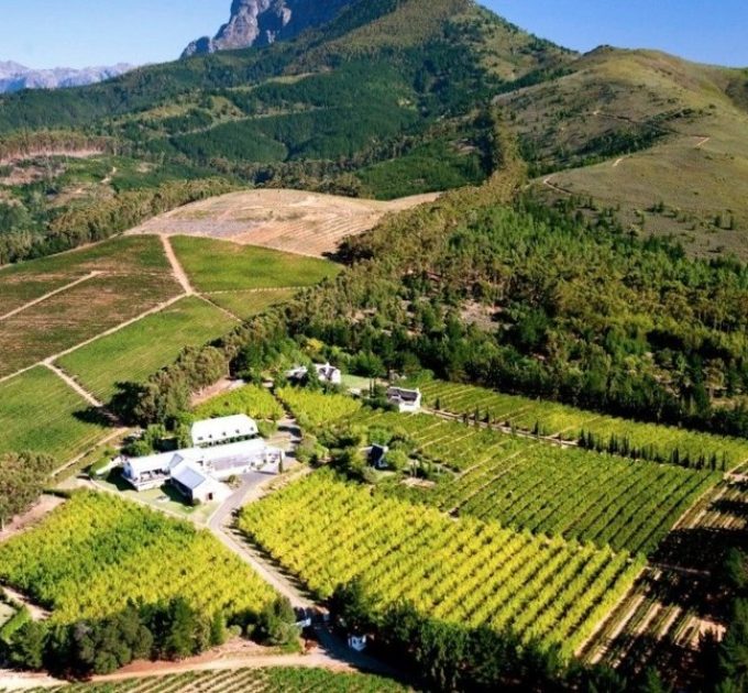 Marianne Wine Estate