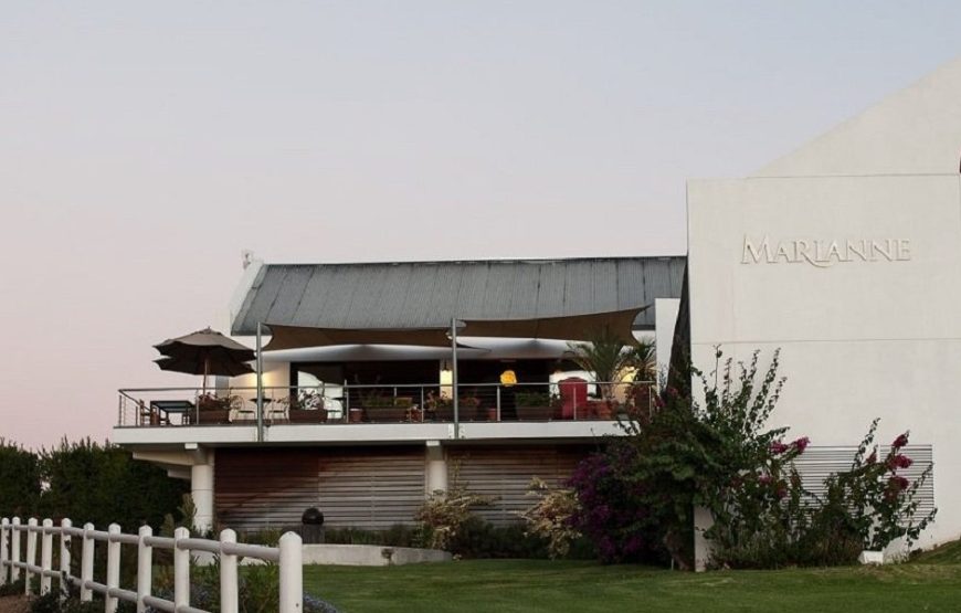 Marianne Wine Estate